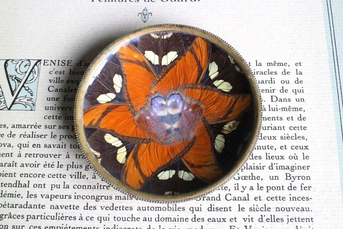 ե󥹡1920ǯ塡Peguyҡĳ¤Υ顼夬ܤ줿ʿ﫥ȥ쥤6701_41