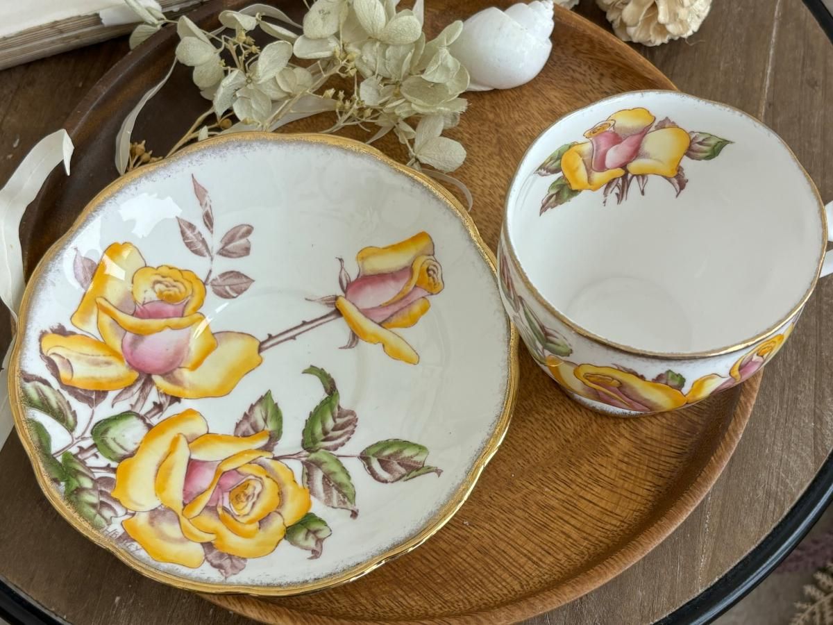 󥢥 Windsor Rose å&