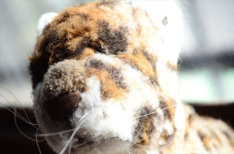 ɥ Steiff 襤ҶΥҥ祦 奿 ̤ Leopard ե奢 ƥ ơ_240924 ig4143