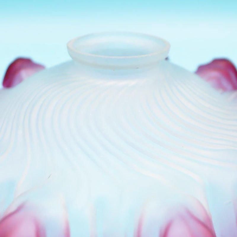  ޥ ų Ż ץ 饹 ԥ ٥꡼ ե  ų