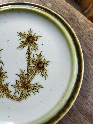 ɥġ֥ȡSTAFFEL STONEWAREǥȥץ졼 [tk-213/na-k25]