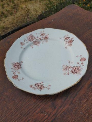  ꥢ륢ƥPETRUS REGOUT ڥȥ饹쥰ǥʡץ졼 [tk-241/na-k07]