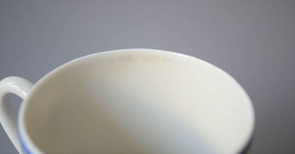 ヴィンテージARABIAデミタスカップ 鳥と花の優雅な模様