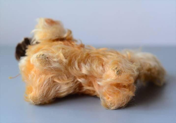 ドイツ製 Steiff イヌ シュタイフ ペキニーズ Peky 犬 dog ドイツ製 Steiff イヌ シュタイフ ペキニーズ Peky 犬 dog