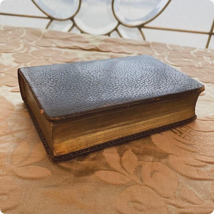 ڥեľ͢ Ū¸ߴ ƥν 