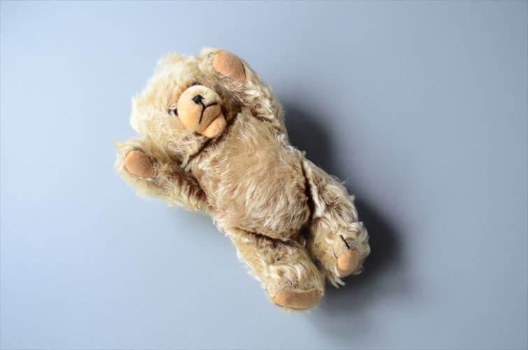 ɥĤ ơ ƥǥ٥ Teddy Bear ­ư ̤ ե奢 ƥ_241017 ig4165