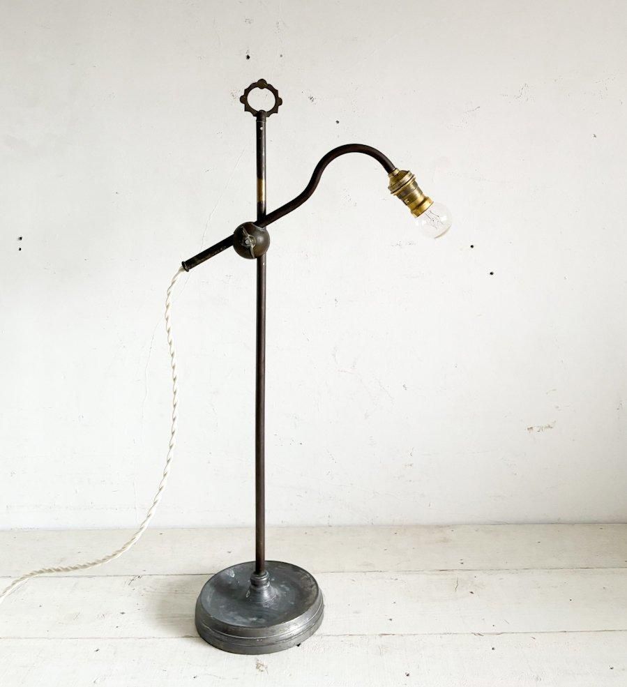 ե󥹥ƥǥ(A3)( L- de 16 )