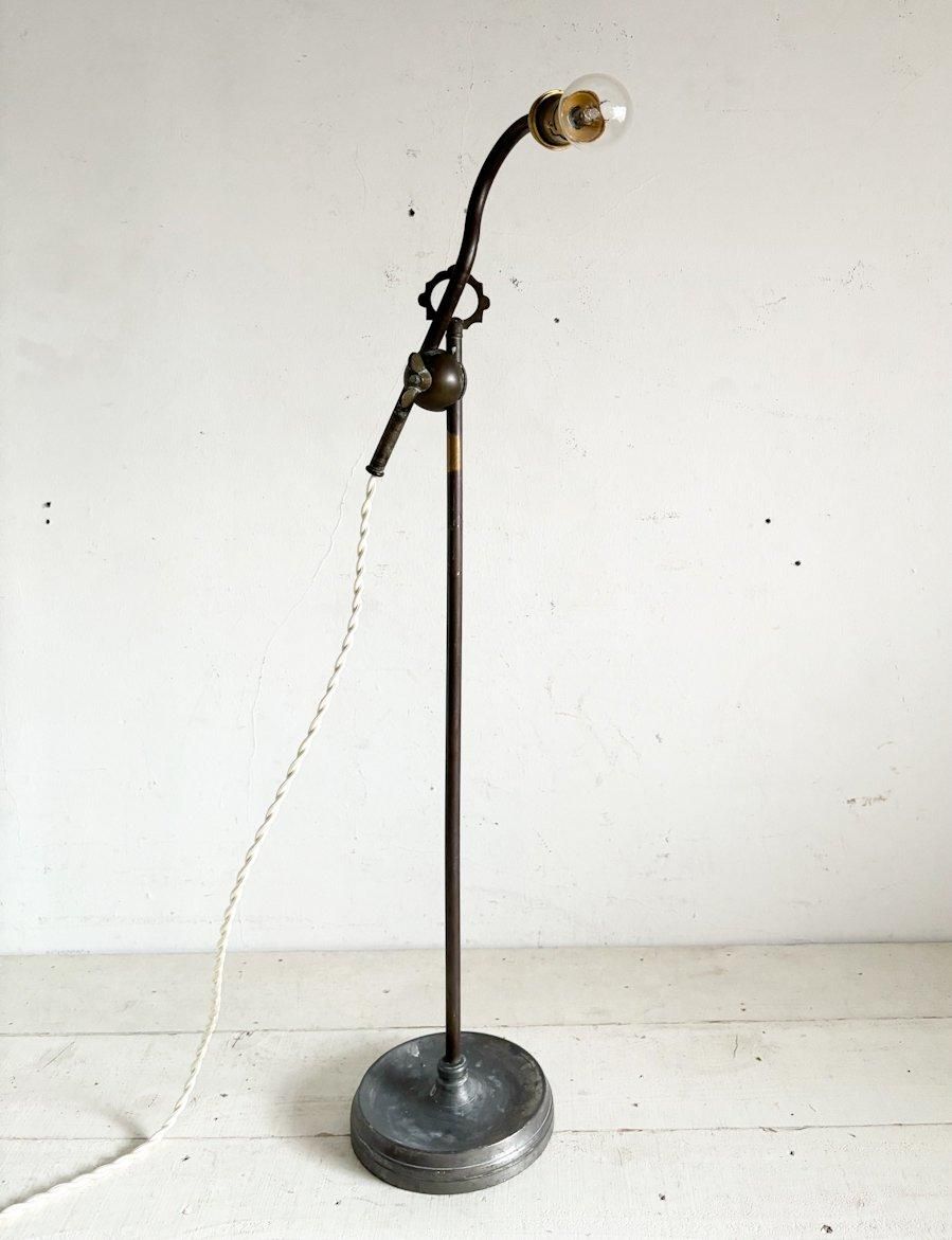 ե󥹥ƥǥ(A3)( L- de 16 )