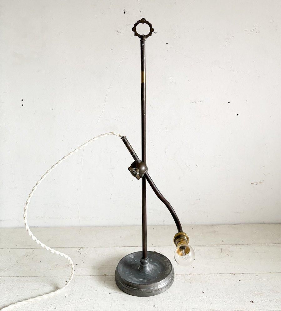 ե󥹥ƥǥ(A3)( L- de 16 )