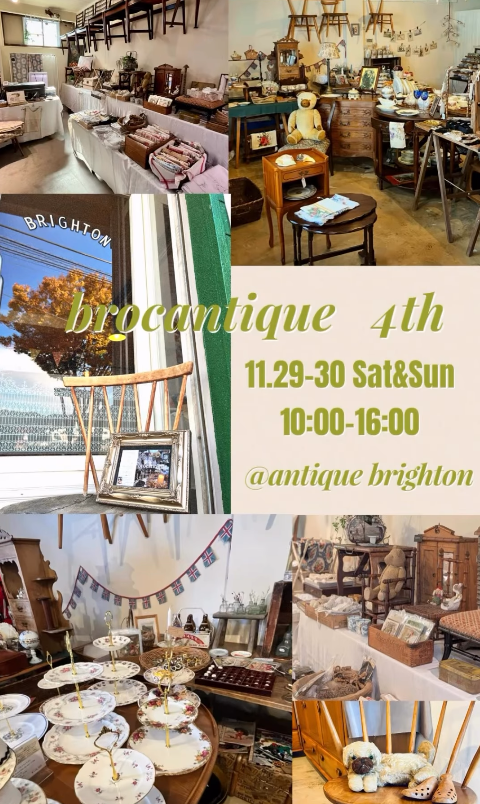 brocantique ֥ƥγŰ
