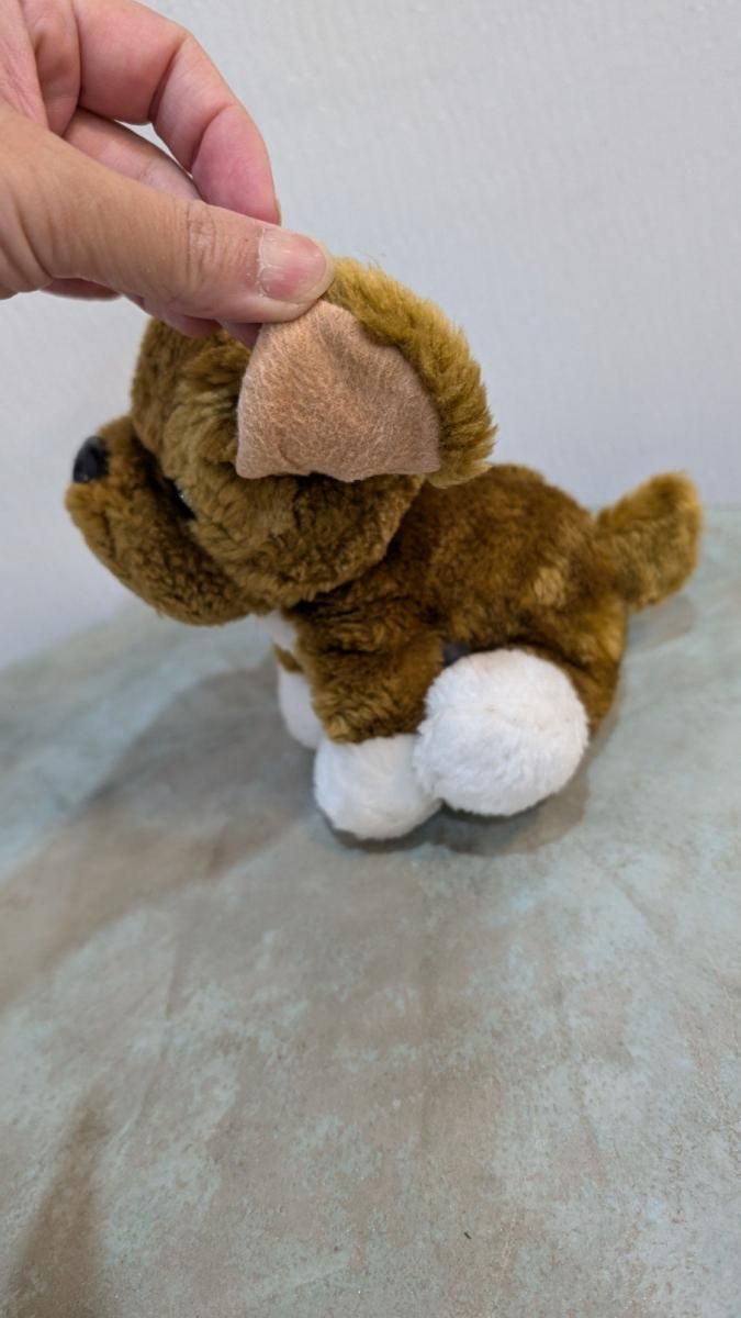 ڥľ͢ۥ   dog ̤ ɡ  ƥ ơ