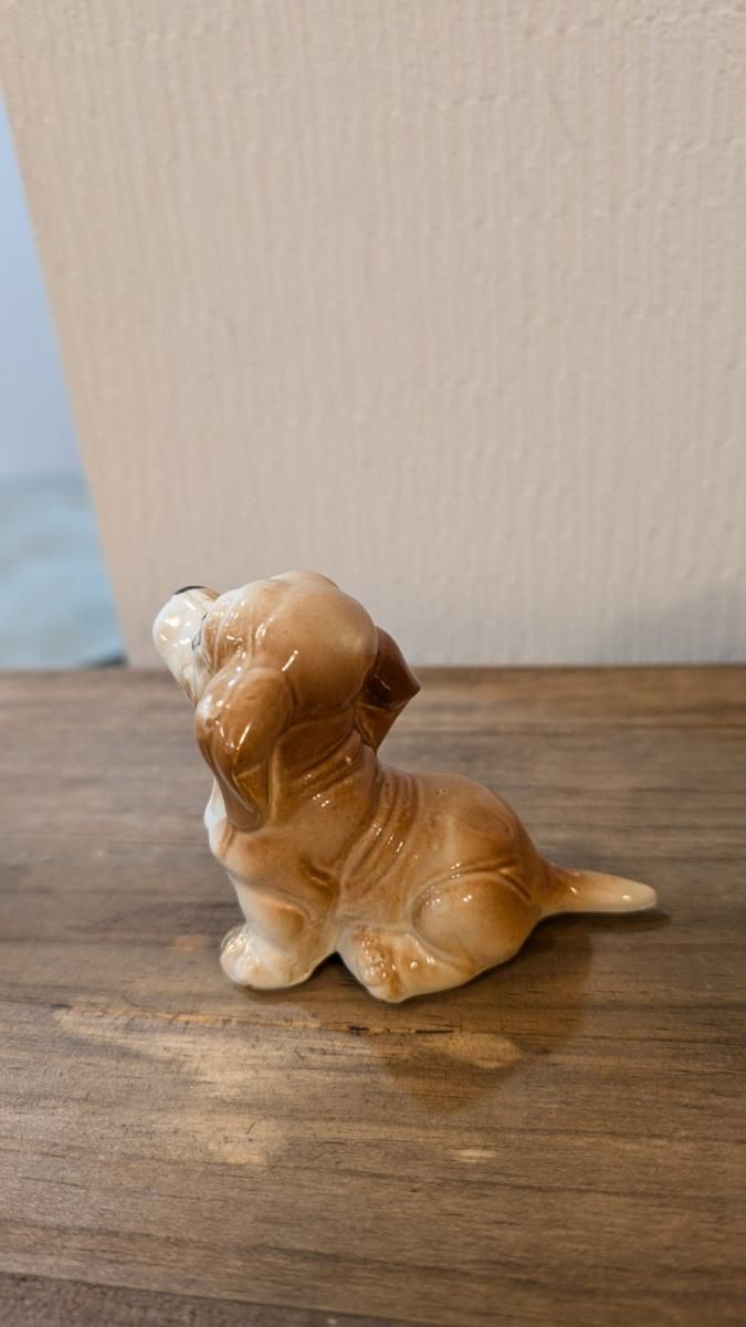  ڥľ͢ۥӡ롡襤Ҹ ٷƻѡ ֥ ƫ ե奢 ơ ƥߥå
