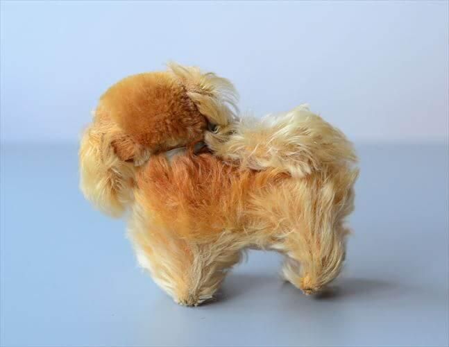 195376ǯ ɥ Steiff  奿 Pekinese Peky ̤ ɡ ե奢 ƥ ơ_ig4220