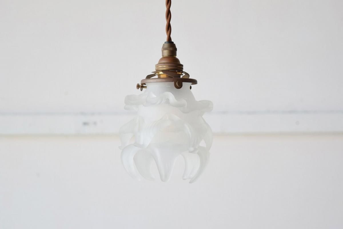 ץ򿧤Υڥȥסkz11ۤξʲ