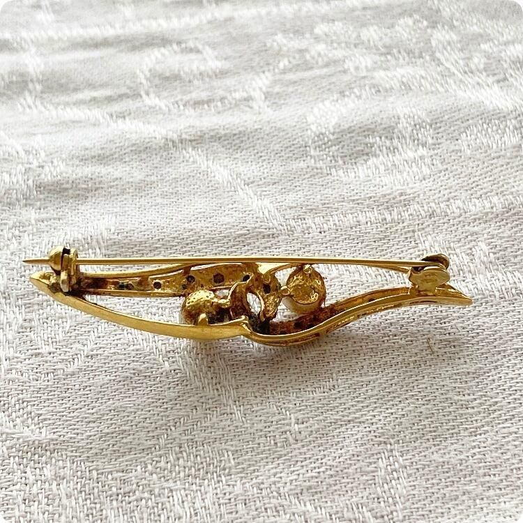  ڥեľ͢ۥ쥬Ȥǽ餷ѡǥ̥ ơ֥