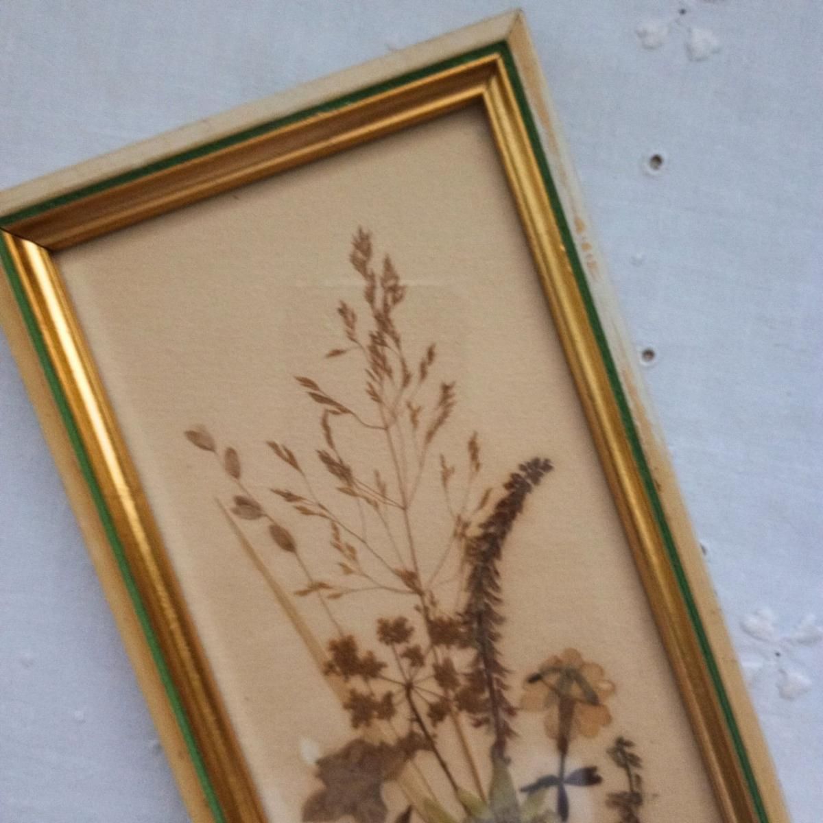 フランスヴィンテージ エーデルワイス押し花額装