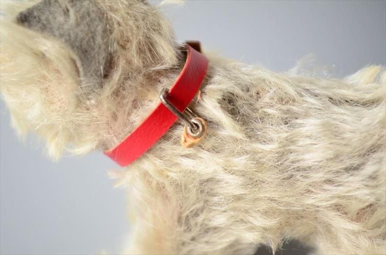  1954-70ǯ ɥ Steiff  ʥ Schnauzer Tessie ̤ ɡ ե奢 ƥ ơ_ig4309