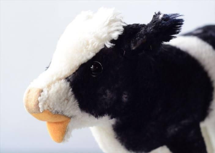 1970-71ǯ ɥ Steiff  Cosy Little Calf ̤ ɡ ե奢 ƥ ơ_ig4312