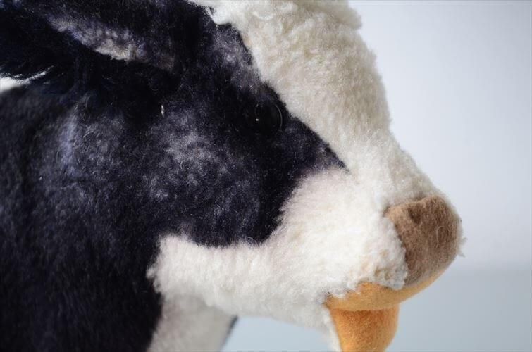  1970-71ǯ ɥ Steiff  Cosy Little Calf ̤ ɡ ե奢 ƥ ơ_ig4312