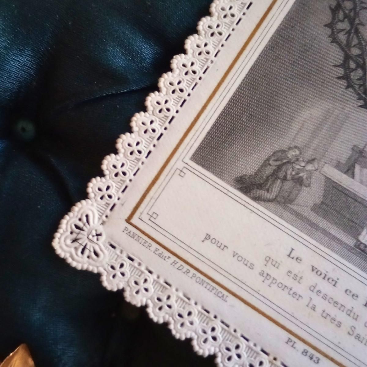 ƥ˥ ƥ졼 ۡ꡼ ꥹ