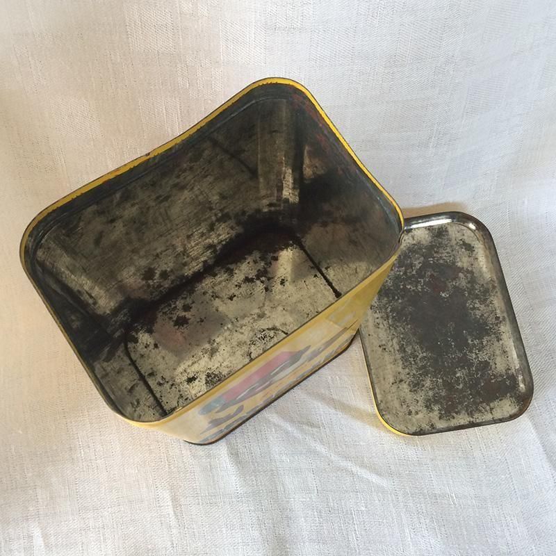 TIN BANANIA ե󥹥֥
12otj16