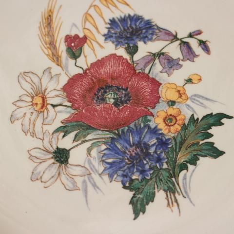 フランスアンティーク　サルグミンヌ　アグレスト　野花　皿　プレート　5枚セット フランスアンティーク サルグミンヌ アグレスト 野花 皿 プレート 5枚