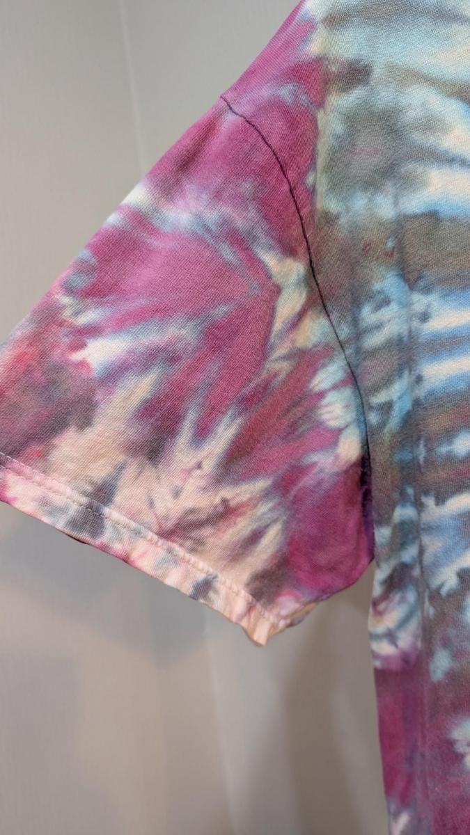  USA POP إ󥺡Hanesơ  T ѡץ롡֥롼L