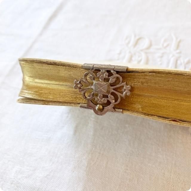 ڥեľ͢ۥܥ꡼θϤ줿ɽ椬 ƥ ʥɥĸ