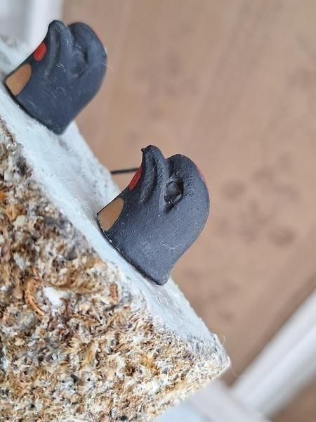 元々ツバメの巣 ツバメNo2