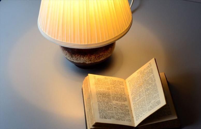 ɥ Fat Lava ƫΥǥ դ եåȥС ơ  ơ֥  饤_250428 il0080