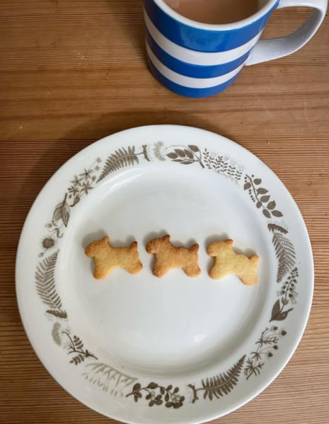 ѥȲڤȥƥˤƹ襤ץ졼Ȥμ̿