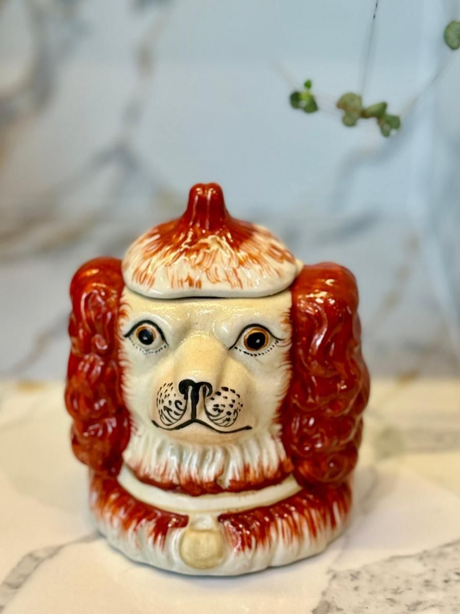 ơåեɥ㡼ɥåΥݥåȡåꥹȯ