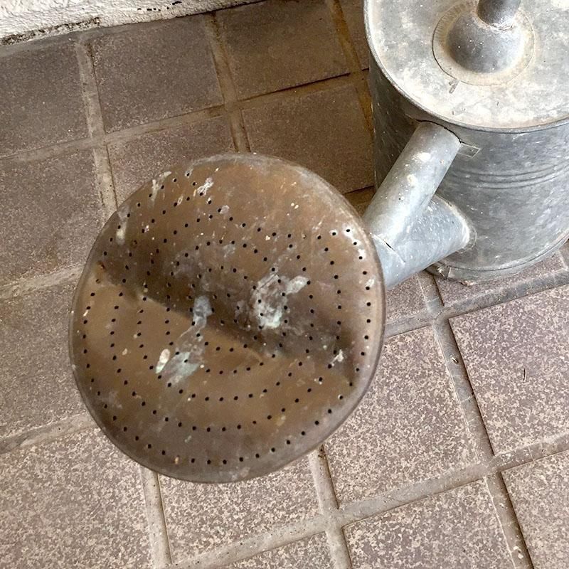 アンティークな雰囲気のガーデニングジョウロ 大型じょろブロカント