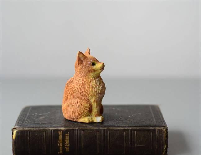 ե󥹤 襤ʤྮʥͥ йѥ֥ ǭ å ե奢 ơ ƥ_250528ig4471