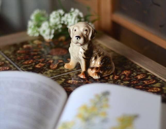  󥰥ɤ ȥСʡɤ餷Ҹ  ֥   ե奢 ơ ƥ_250528 ig4472