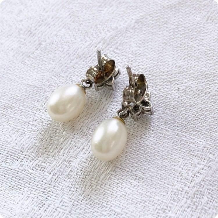  ڥեľ͢۾ʤɤ뾮γѡ뤬Ũ ơ ԥ