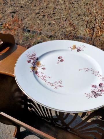 ѥ¤λԤǸĤβ֡ʥƥǥʡץ졼 [tk-181/na-c01]