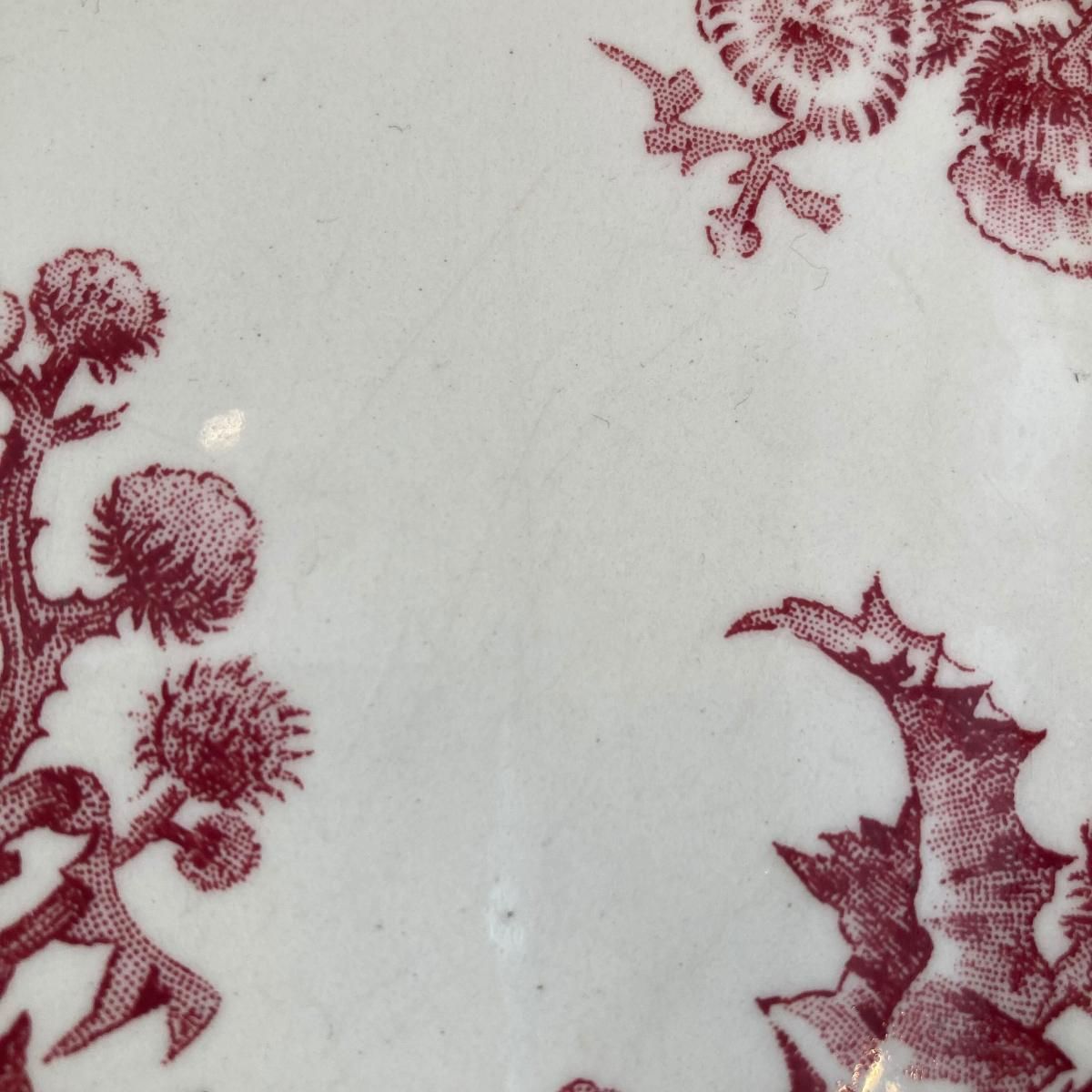 Gien ジアン アザミ柄 ディナープレート アンティークプレート　フランス 希少 GIEN ジアン あざみ柄ディナープレート フランス