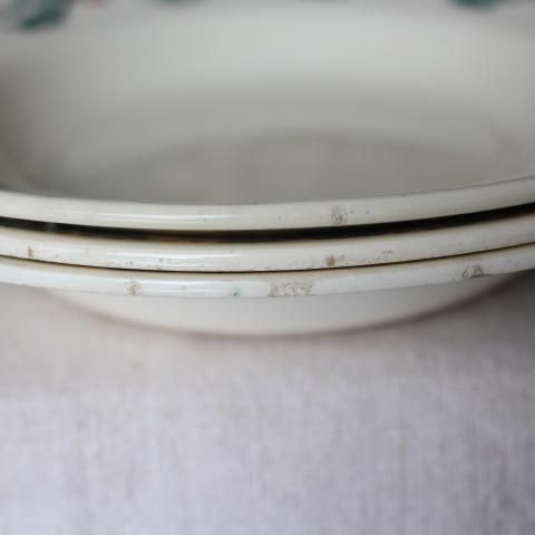 フランス製ヴィンテージ、ヒイラギ模様スーププレート3枚