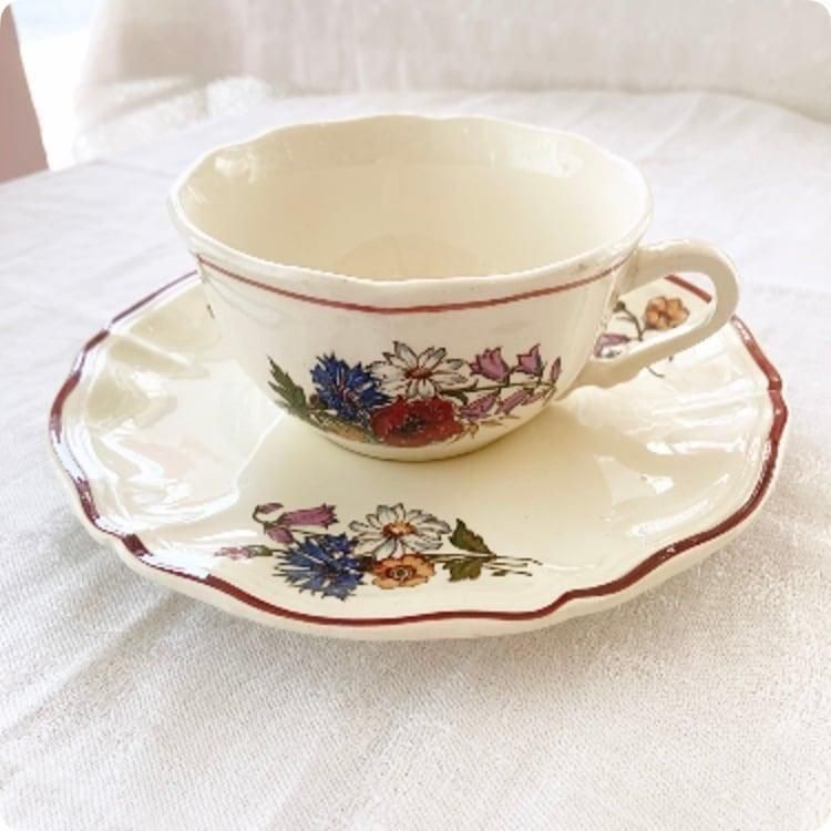 フランス直輸入アグレストシリーズ花リムカップソーサー