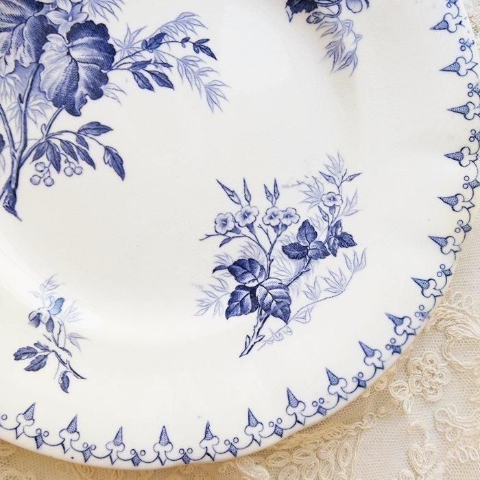 1031ޤٻߡTB0802A
ե󥹡륰ߥ̡FLORE֥롼եǥȥץ졼ȡʿA