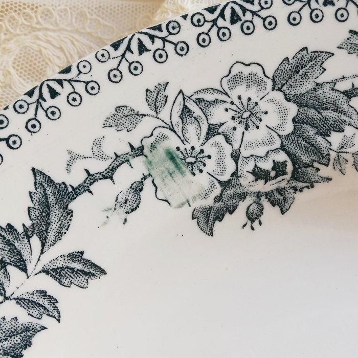  TB0802B
ե󥹡󥿥ޥGUADELOUPEͤΥץץ졼ȡB