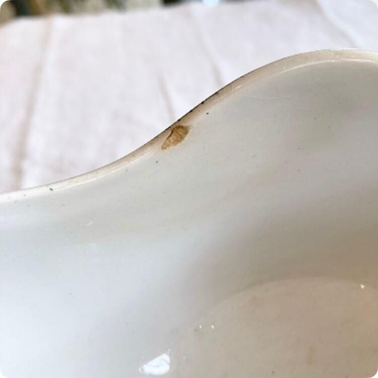 ڥեľ͢ۿߤΤ륰꡼󥫥顼̥λ 󥿥ޥ REGIN 