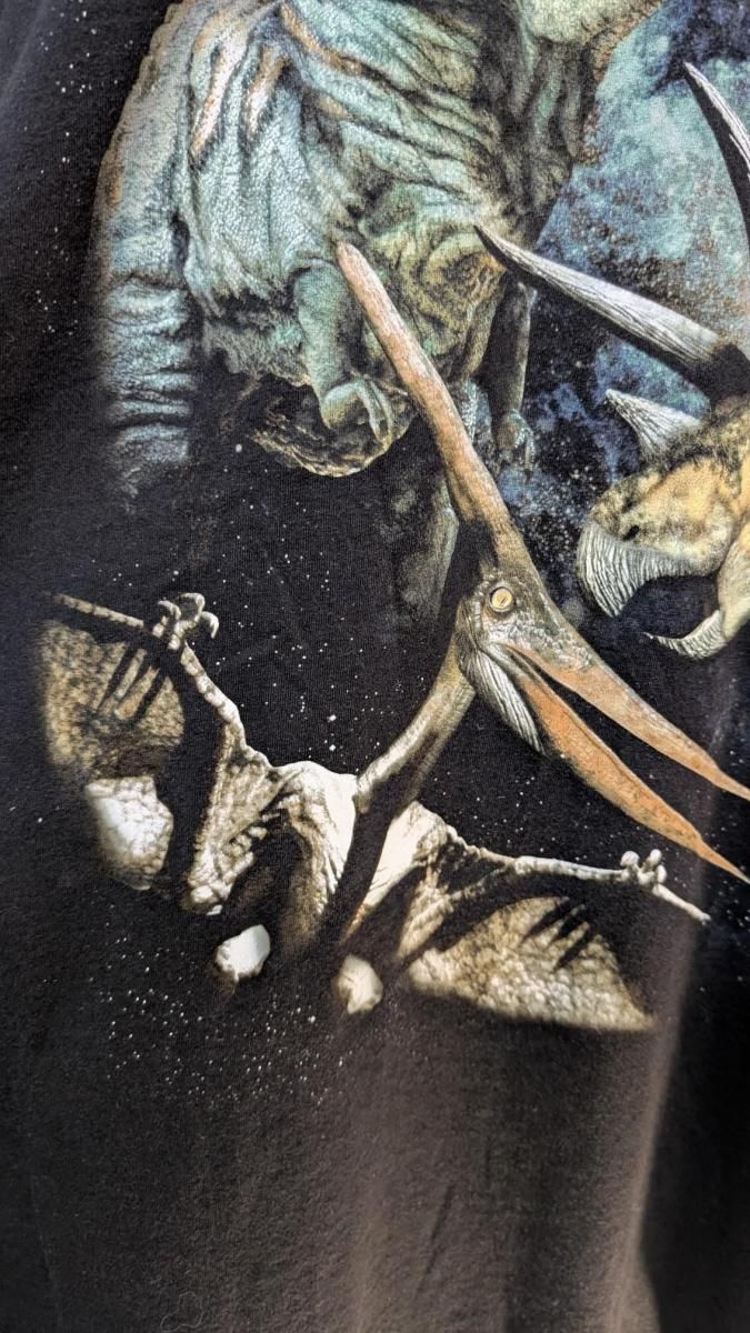 デッドストック恐竜プリントTシャツブラックMenXL