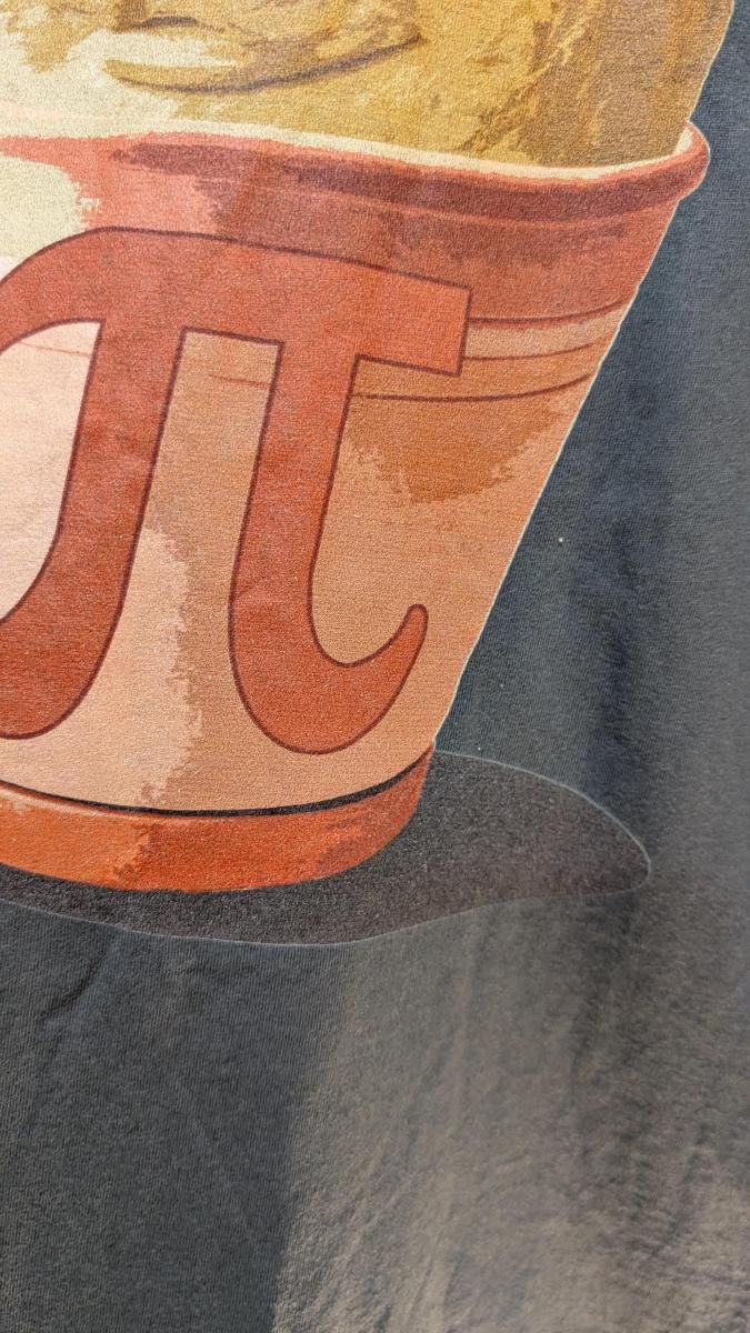  ǥåɥȥåTġ󡡷ܡݥåȡ CHICKEN POT PI Men XL Gray 쥤PANOWARE