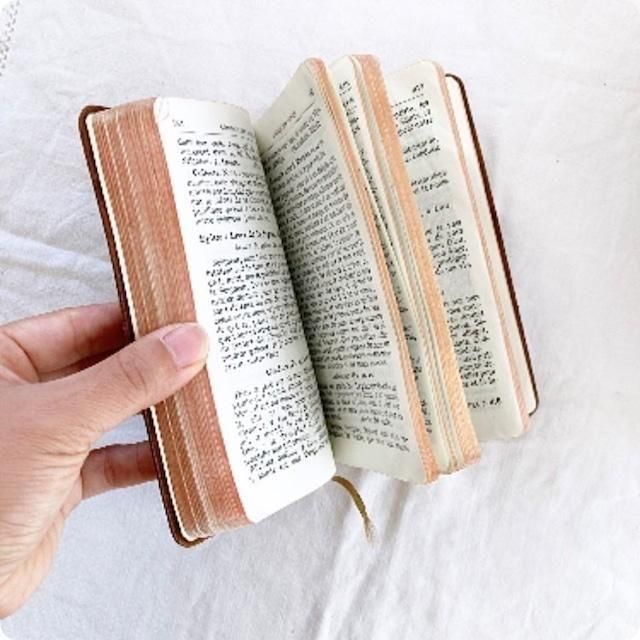 フランス直輸入！アンティーク聖書 革装丁が魅力 溢れる風合いフランス語