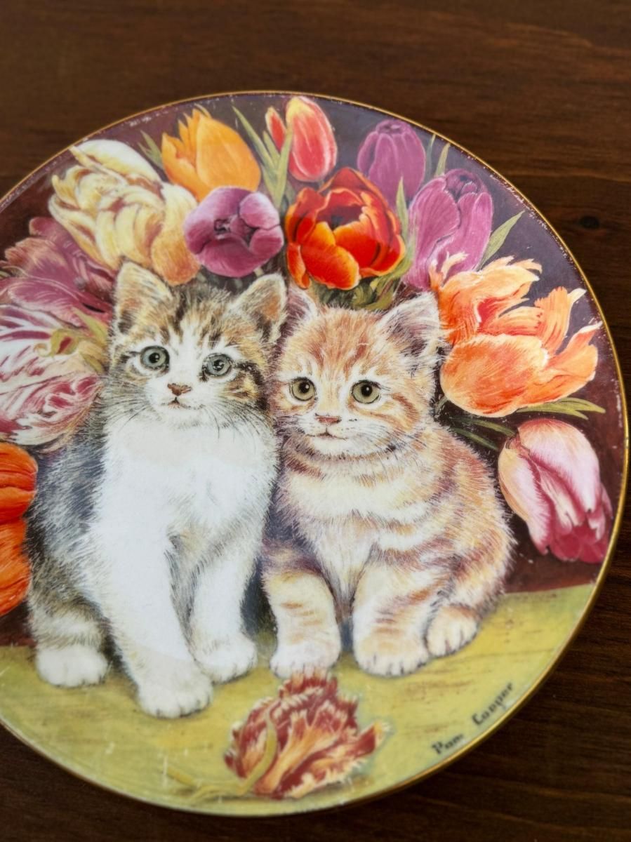 륦ֲİ¤ץܡ㥤ʳåѥࡦѡ1994åꥹȯ