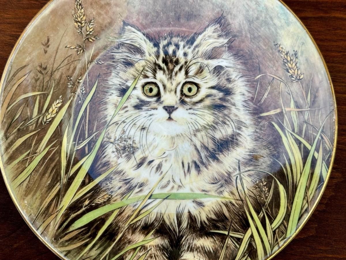 ロイヤルウースター絵皿