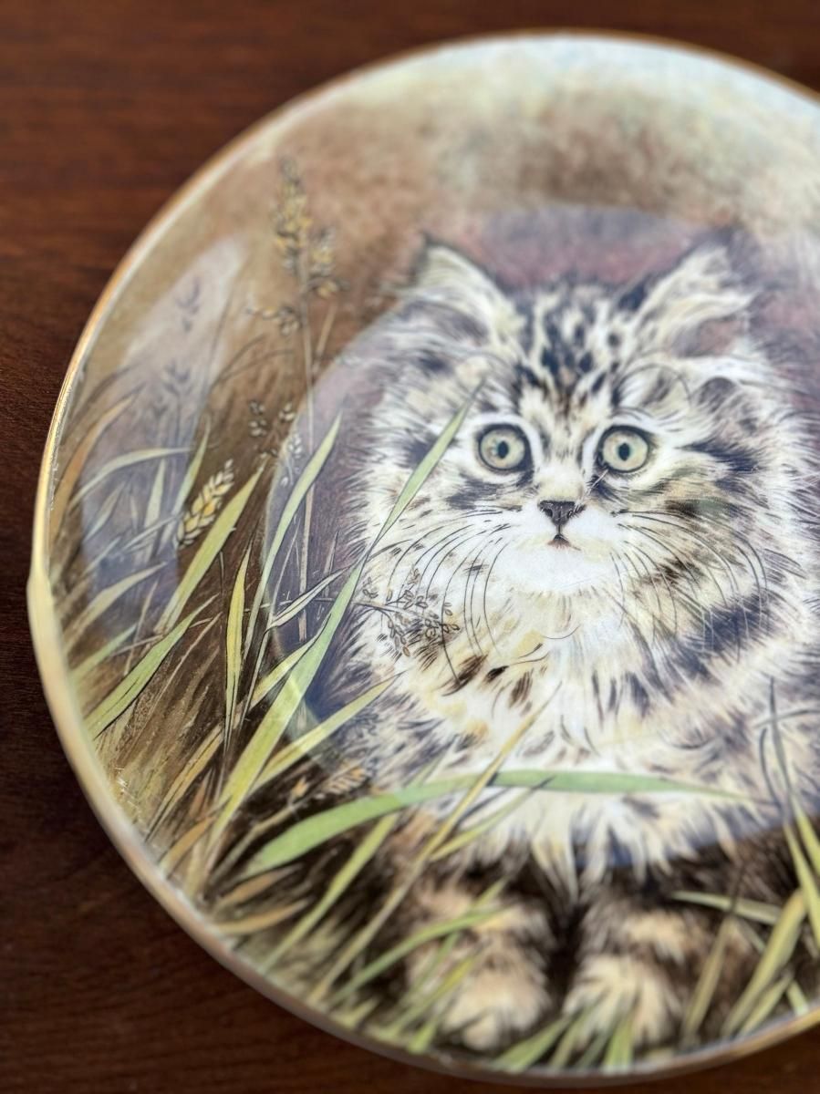 륦֥磻ɥեץȥ󡦥饷å 1985ǯåꥹȯ