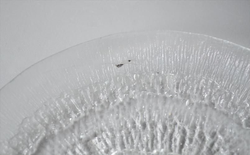 iittala ソラリス プレート 16.5cm